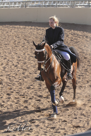 2012 Scottsdale Show | Days 1 & 2