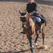 2012 Scottsdale Show | Days 1 & 2