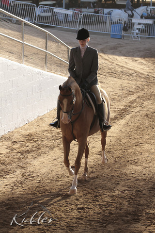 2012 Scottsdale Show | Days 1 & 2