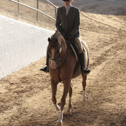 2012 Scottsdale Show | Days 1 & 2