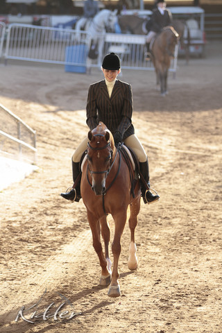 2012 Scottsdale Show | Days 1 & 2