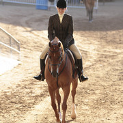 2012 Scottsdale Show | Days 1 & 2