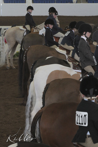 2012 Scottsdale Show | Days 1 & 2