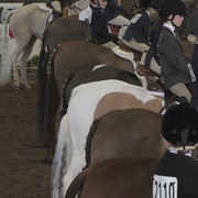 2012 Scottsdale Show | Days 1 & 2