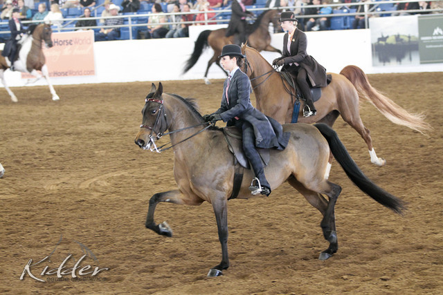 2012 Scottsdale Show | Days 1 & 2