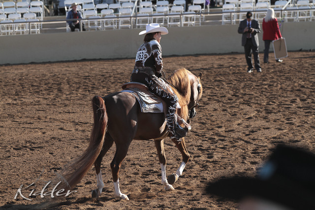 2012 Scottsdale Show | Days 1 & 2
