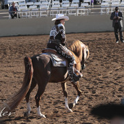 2012 Scottsdale Show | Days 1 & 2