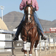 2012 Scottsdale Show | Days 1 & 2