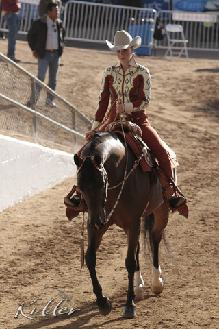2012 Scottsdale Show | Days 1 & 2
