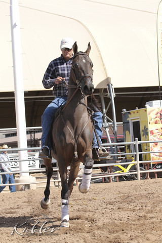 2012 Scottsdale Show | Days 1 & 2