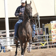 2012 Scottsdale Show | Days 1 & 2