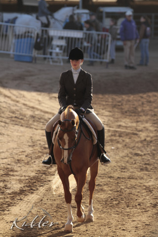 2012 Scottsdale Show | Days 1 & 2