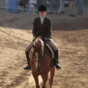 2012 Scottsdale Show | Days 1 & 2