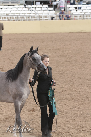 2012 Scottsdale Show | Days 1 & 2