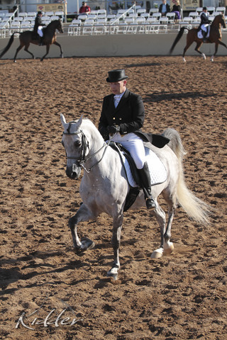 2012 Scottsdale Show | Days 1 & 2