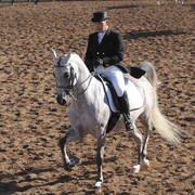 2012 Scottsdale Show | Days 1 & 2