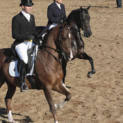 2012 Scottsdale Show | Days 1 & 2