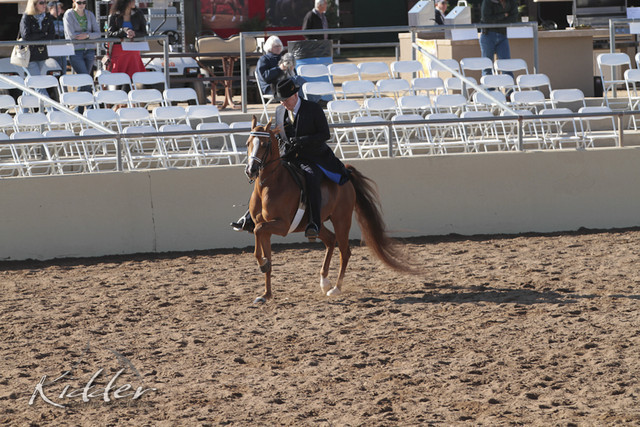 2012 Scottsdale Show | Days 1 & 2