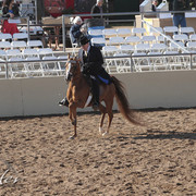 2012 Scottsdale Show | Days 1 & 2