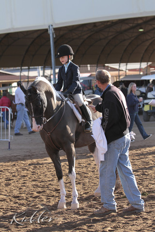 2012 Scottsdale Show | Days 1 & 2