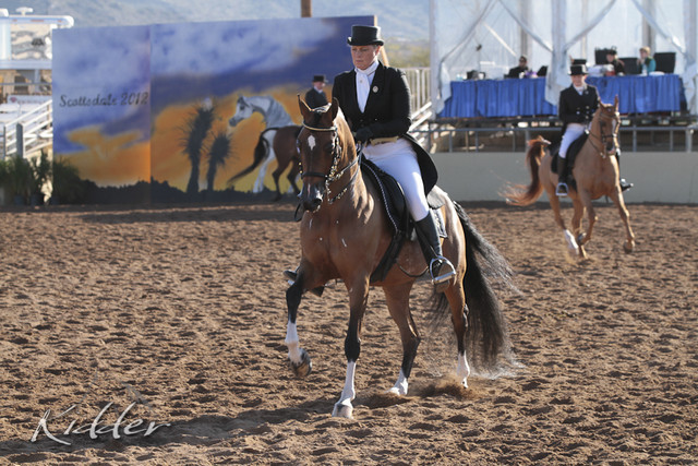 2012 Scottsdale Show | Days 1 & 2