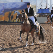 2012 Scottsdale Show | Days 1 & 2