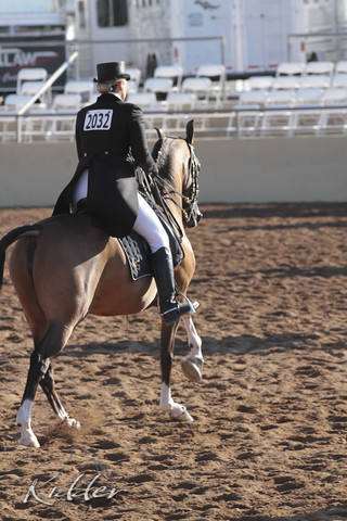 2012 Scottsdale Show | Days 1 & 2