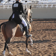 2012 Scottsdale Show | Days 1 & 2