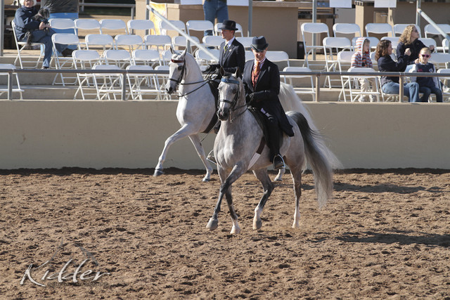 2012 Scottsdale Show | Days 1 & 2