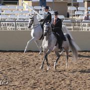 2012 Scottsdale Show | Days 1 & 2
