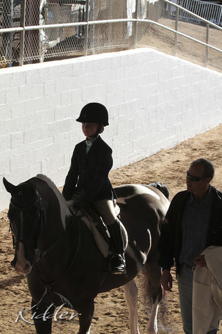 2012 Scottsdale Show | Days 1 & 2