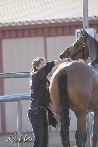 2012 Scottsdale Show | Days 1 & 2