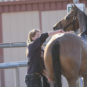 2012 Scottsdale Show | Days 1 & 2