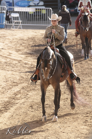 2012 Scottsdale Show | Days 1 & 2