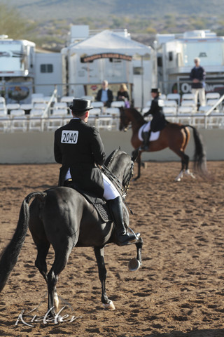 2012 Scottsdale Show | Days 1 & 2