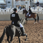 2012 Scottsdale Show | Days 1 & 2