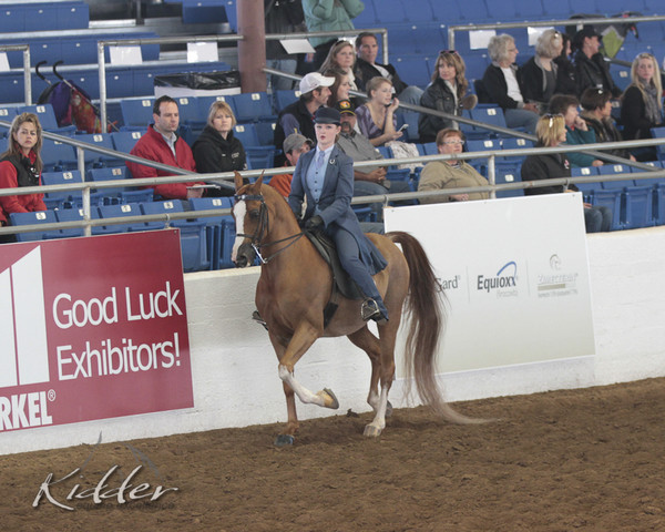 2012 Scottsdale Show | Days 1 & 2