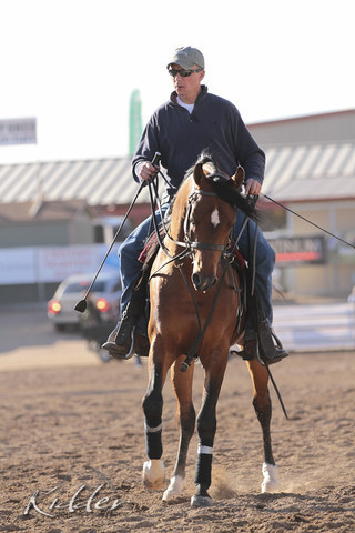 2012 Scottsdale Show | Days 1 & 2
