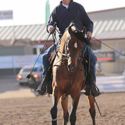 2012 Scottsdale Show | Days 1 & 2