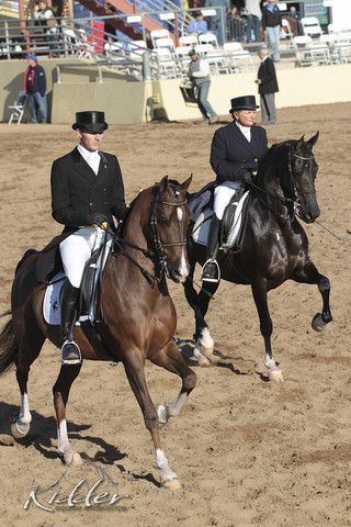 2012 Scottsdale Show | Days 1 & 2