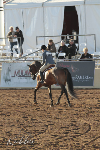 2012 Scottsdale Show | Days 1 & 2