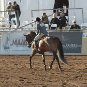2012 Scottsdale Show | Days 1 & 2