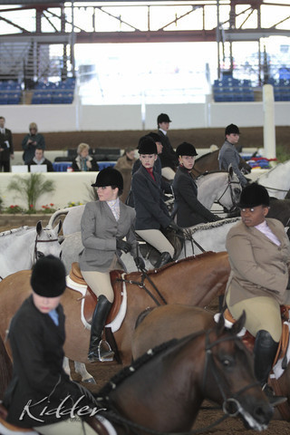 2012 Scottsdale Show | Days 1 & 2