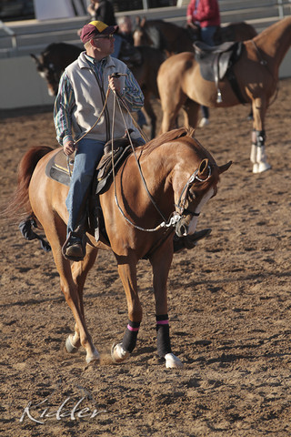 2012 Scottsdale Show | Days 1 & 2