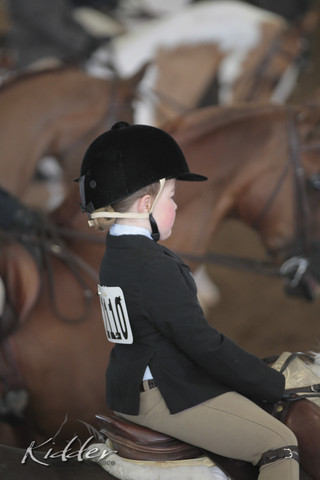 2012 Scottsdale Show | Days 1 & 2