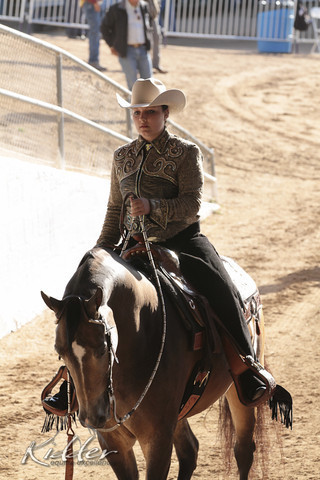 2012 Scottsdale Show | Days 1 & 2