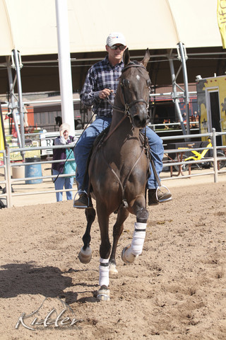 2012 Scottsdale Show | Days 1 & 2