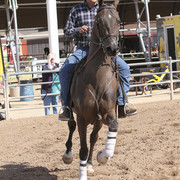 2012 Scottsdale Show | Days 1 & 2