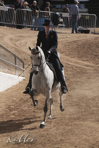 2012 Scottsdale Show | Days 1 & 2