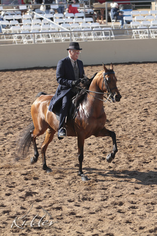 2012 Scottsdale Show | Days 1 & 2